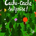 Cache-cache surprise