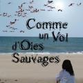 Comme un vol d' oies sauvages