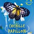 De la chenille au papillon