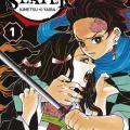 Tome 1 Demon slayer 