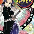 Tome 6 Demon slayer - Kimetsu no yaiba