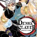 Tome 9 Demon slayer