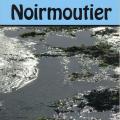 Ile de Noirmoutier