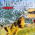 Insectes et araignées