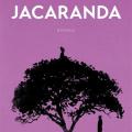 Jacaranda