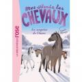 Mes amis les chevaux - La surprise de l' hiver