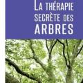 La thérapie secrète des arbres