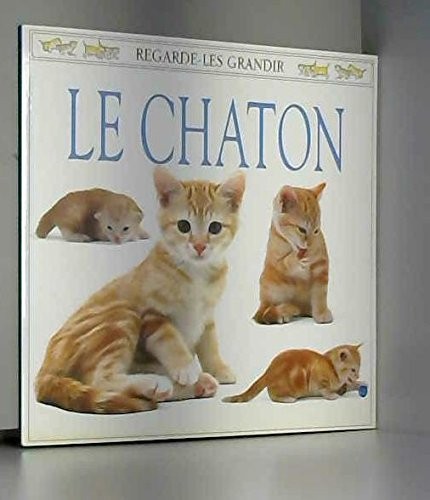 Le chaton