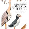 Le grand album des oiseaux de France