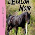 Tome 2 Le retour de l'étalon noir