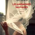 Les anémones sauvages