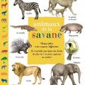 Les animaux de la savane