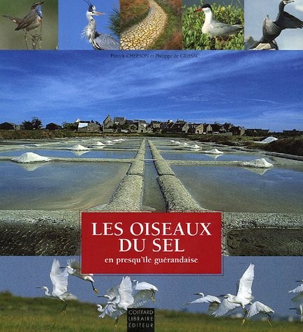 Les oiseaux du sel en presqu'île guérandaise