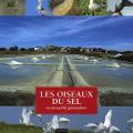 Les oiseaux du sel en presqu'île guérandaise