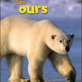 Les ours