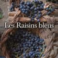 Les raisins bleus