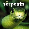 Les serpents