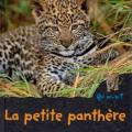 La petite panthère