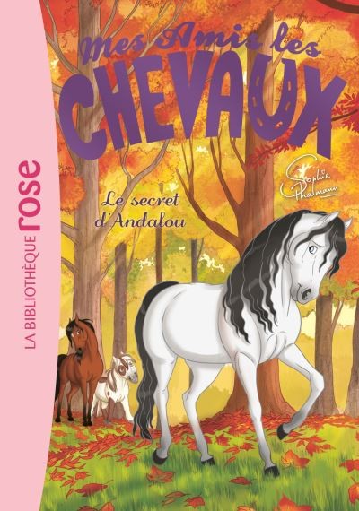 Mes amis les chevaux - Le secret d' Andalou