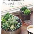 Mini jardins de succulentes