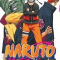 Tome 31 Naruto