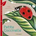 Petite coccinelle