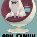 Tome 5 Spy x family