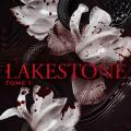 Tome 1 Lakestone