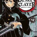 Tome 12 Demon Slayer