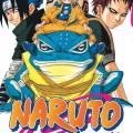 Tome 13 Naruto