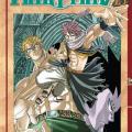 Tome 15 Fairy Tail