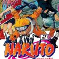 Tome 2 Naruto