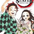 Tome 23 Demon Slayer - Kimetsu no yaiba