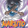 Tome 27 naruto