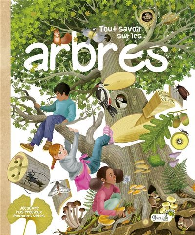 Tout savoir sur les arbres