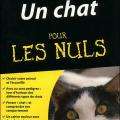 Un chat pour les nuls